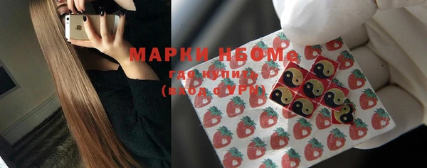 хмурый Аркадак