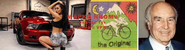 хмурый Аркадак