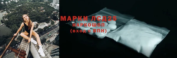 хмурый Аркадак
