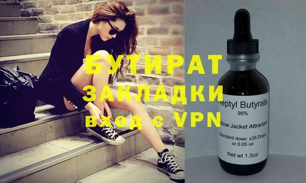 хмурый Аркадак